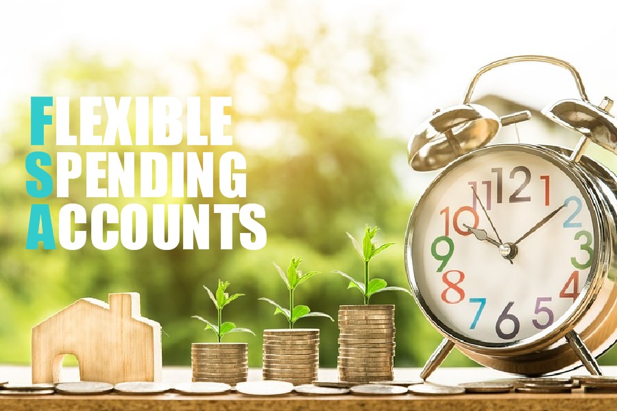 Flex Spending Account 2024 Limit In India Iris Renell